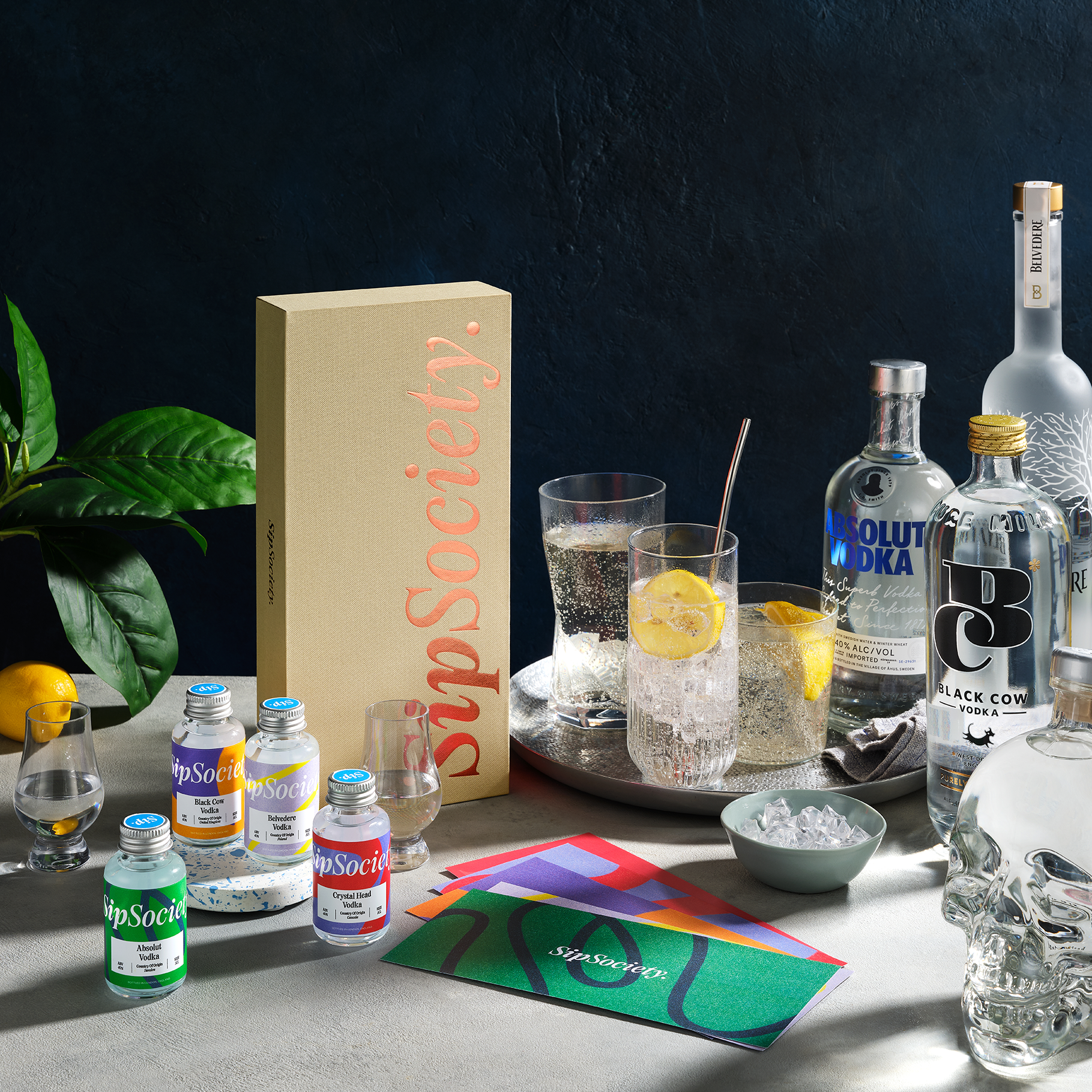 Sip Society - Vodka Kit